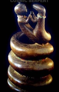 2 sarpele cosmic CHOKWE_1 - Ziarul National