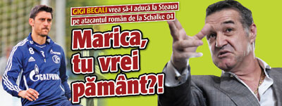 Gigi Becali: Marica, tu vrei pamant?!