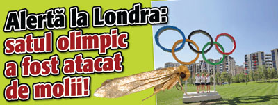 Alerta la Londra: satul olimpic a fost atacat de molii!