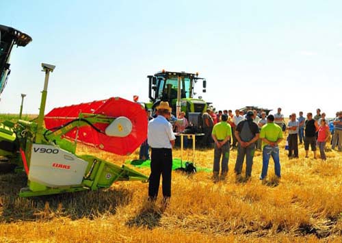 Agricultura – salvata la anu’, leul – mai tare de luni. Sau nu