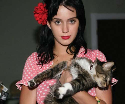 Katy Perry si-a dus pisicile la psiholog
