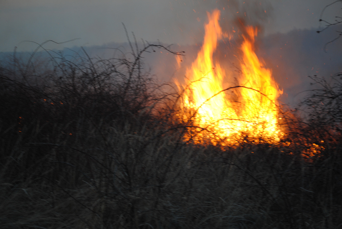 Incendiu in Parcul National Ceahlau: Hectare de vegetatie, in flacari. Exista riscul extinderii spre padure