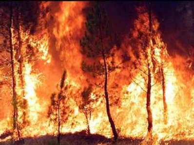 Incendiu in Muntii Sureanu, peste 30 de hectare sunt afectate