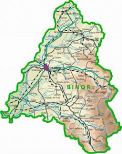 rezultate-bac-2012-bihor - Ziarul National