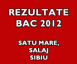 rezultate-bac-202-stu-mare-salaj-sibiu - Ziarul National