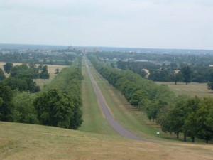 windsor_great_park - Ziarul National