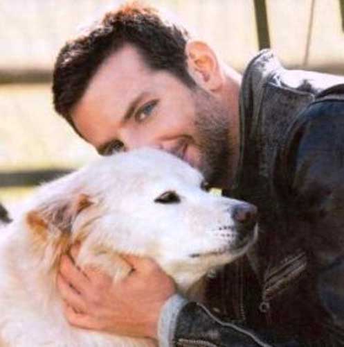 Bradley Cooper cauta bona pentru catel