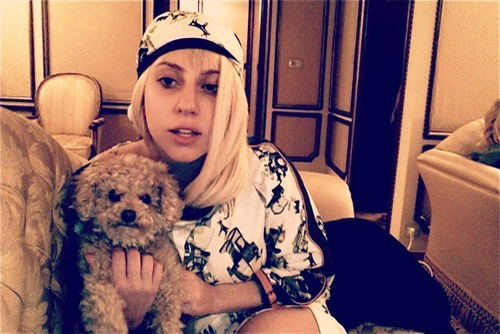 Lady Gaga vine la Bucuresti cu televizorul si catelul dupa ea