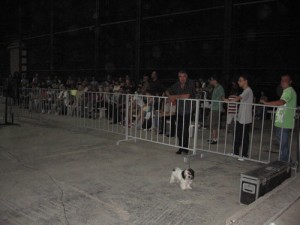 vocea caseta Rony catel - Ziarul National