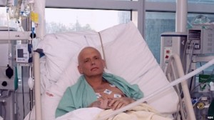 Aleksandr Litvinenko - Ziarul National