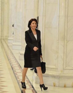 Sulfina Barbu - Consiliul PDL - Narcis Pop (18) - Ziarul National