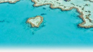 Whitesundays, Australia - Ziarul National
