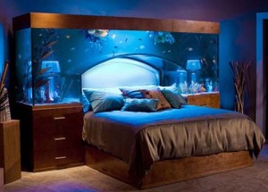 cold-fish-in-bed-custom-aquarium-headboard_1 - Ziarul National