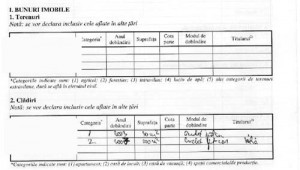 decl-avere-dinu_1 - Ziarul National