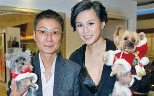 gigi chao - Ziarul National