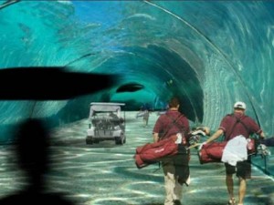 maldives_floating_golf_course_people - Ziarul National