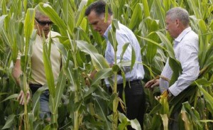 mitt-romney-support-of-monsanto - Ziarul National