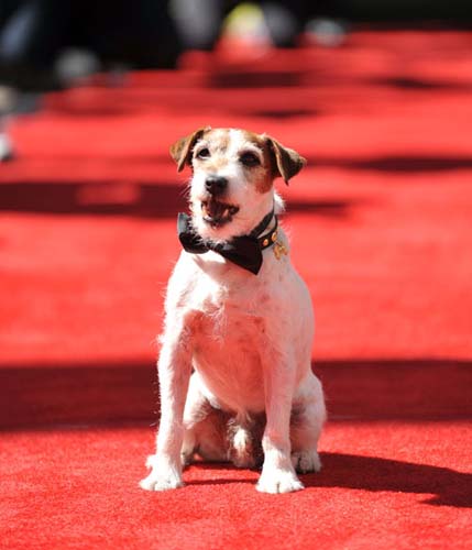 Catelul Uggie isi lanseaza memoriile