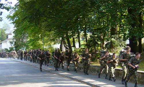 Elvetia isi scoate armata pe strazi din cauza crizei