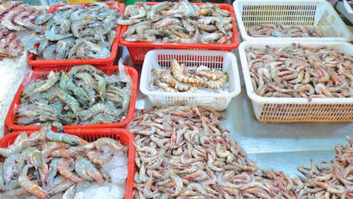 Fructe de mare cu salmonella si substante cancerigene