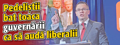 Pedelistii bat toaca guvernarii ca sa auda liberalii