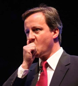 David Cameron - Ziarul National