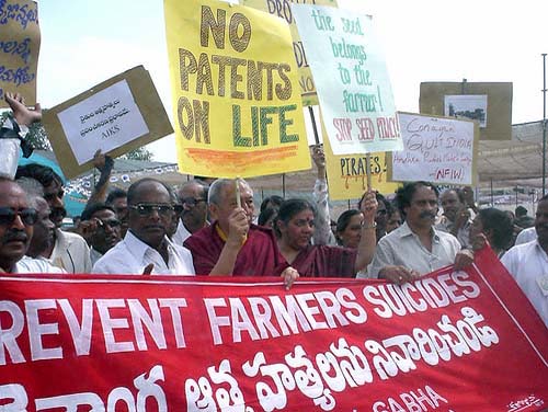 India interzice experimentele Monsanto