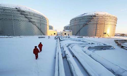 Atentie! Ia fiinta „Fratia asiatica a energiei”