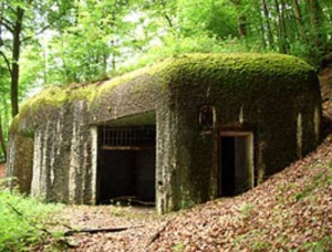maginot-line-tours - Ziarul National