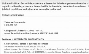 nuclearelectrica--mate-fin_1 - Ziarul National