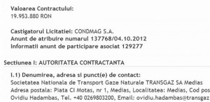 transgaz-licit-2 - Ziarul National