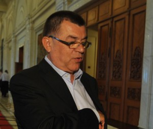 RADU STROIE-FANE (1)_1 - Ziarul National