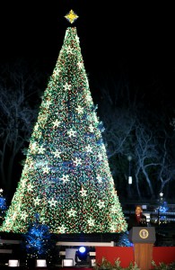 U.S.-NATIONAL CHRISTMAS TREE-LIGHTING - Ziarul National