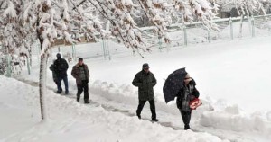 agerpres_vot zapada - Ziarul National