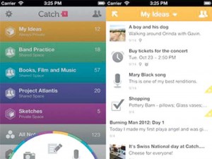 catch - Ziarul National