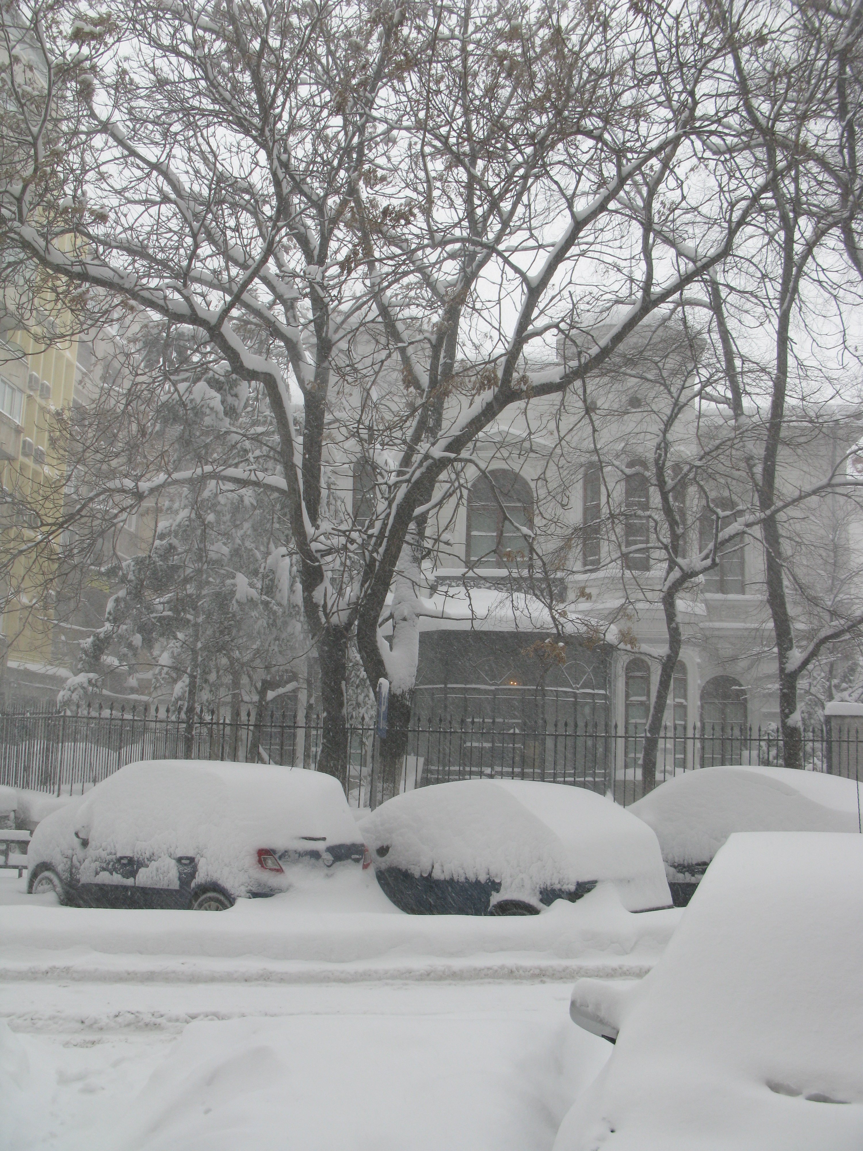 Vești triste! Vom mai vedea zăpadă în București în anii următori? Specialist: ”Episoadele cu ninsoare vor deveni...” - VIDEO