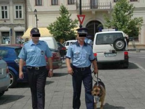 politisti - Ziarul National