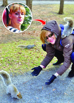 Ciuhuleasca isi mangaie veverita in parc