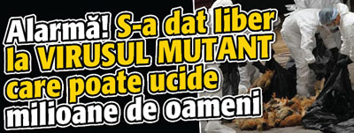 Alarma! S-a dat liber la VIRUSUL MUTANT care poate ucide milioane de oameni