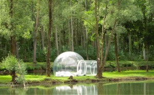 Bubble Tree - Ziarul National