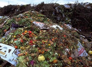 Food-Waste-2 - Ziarul National