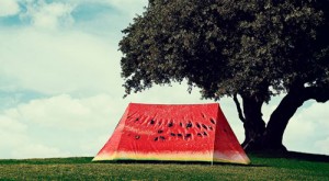 fieldcandy5 (2) - Ziarul National