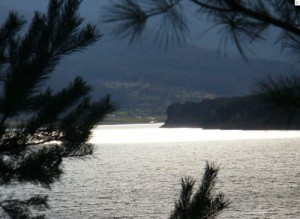 priveliste_lacul.valea.uzului - Ziarul National