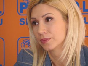 Turcan: In PDL nu trebuie sa fie un razboi cu sange pe pereti!