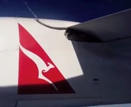 Un piton a calatorit pe aripa unui avion timp de doua ore – VIDEO