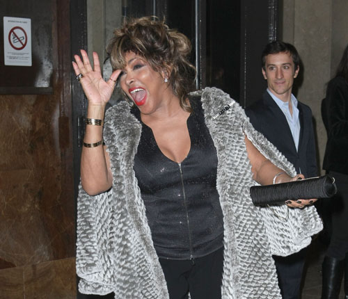 Tina Turner vrea cetatenie elvetiana