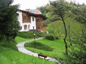 vila protocol covasna - Ziarul National