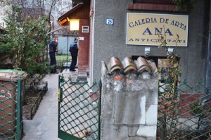 Galeria de arta Ana - Narcis Pop (9) - Ziarul National
