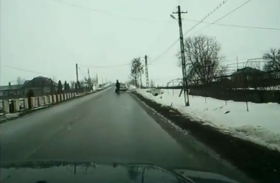 Caii se plimba cu Dacia Solenza! (VIDEO)