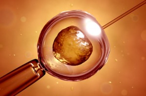 in-Vitro - Ziarul National